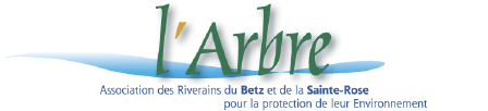l'Arbre